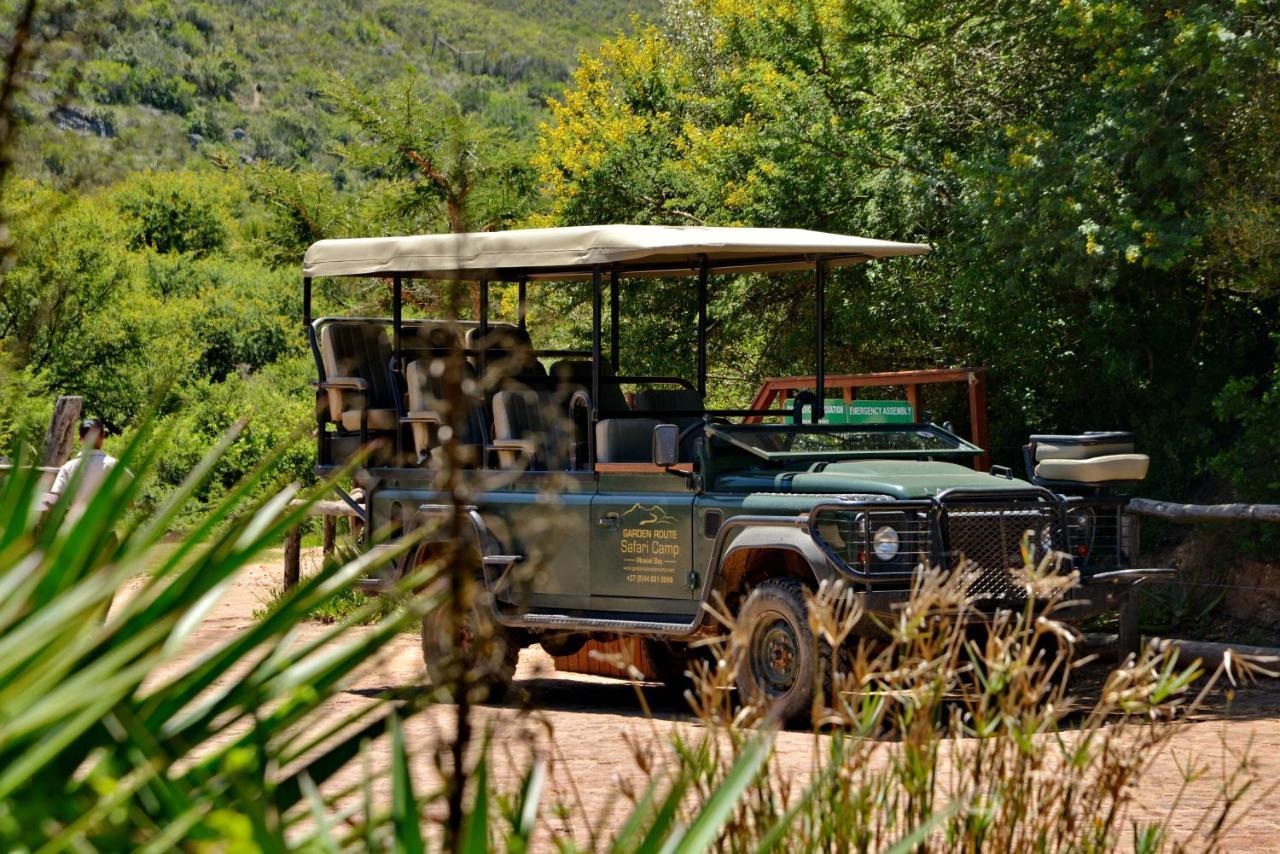 Garden Route Safari Camp Hotel Mosselbaai Buitenkant foto